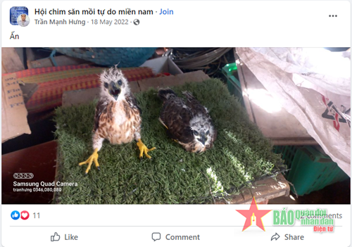 Bình Thuận: Bắt giữ đối tượng quảng cáo, buôn bán động vật hoang dã trên mạng xã hội